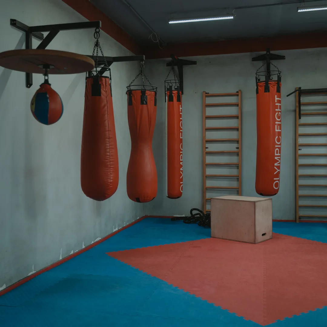 Mejor saco de boxeo para casa